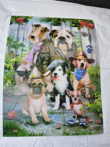 Dog cool dudes livelife - cool,