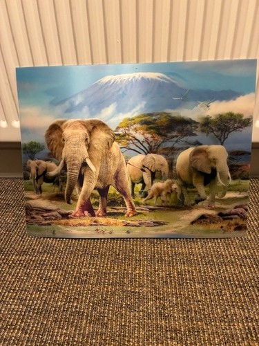 Elephant holographic picture