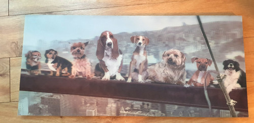 Moving dog picture lenticular - picture,