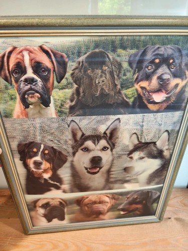 Dog lenticular picture - dog,