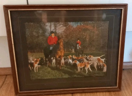 Fox hunting party - fox,