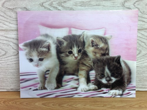 Holographic kitten picture - picture, 11"